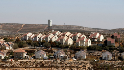 فلسطينيون ينتزعون قراراً قضائيَا باستعادة أرضهم التي سرقها مستوطنون