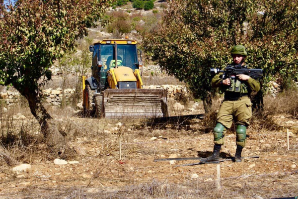 الاحتلال يقطع مئات أشجار العنب جنوبي بيت لحم