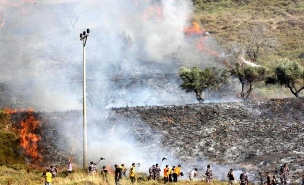 مستوطنون يضرمون النار بحقول زراعية في قرية جيت