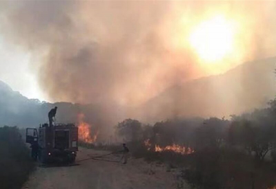 الحركة البيئية: التحقيق بحرائق بسري بدأ ولن نقبل بلفلفة القضية