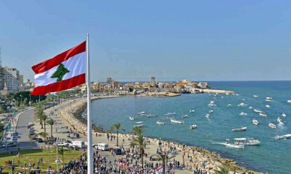 تحركات "الشيوعي" الاحتجاجية تتواصل في صور لمواجهة منظمة الفساد   (فيديو)