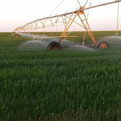 "بعرق جبينك" من أجل نمط حياة أقل استهلاكية وأكثر إنتاجاً