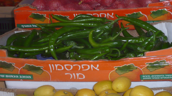 قريبًا.. خضار وفواكه مستوطنات الاحتلال ستُباع في الإمارات