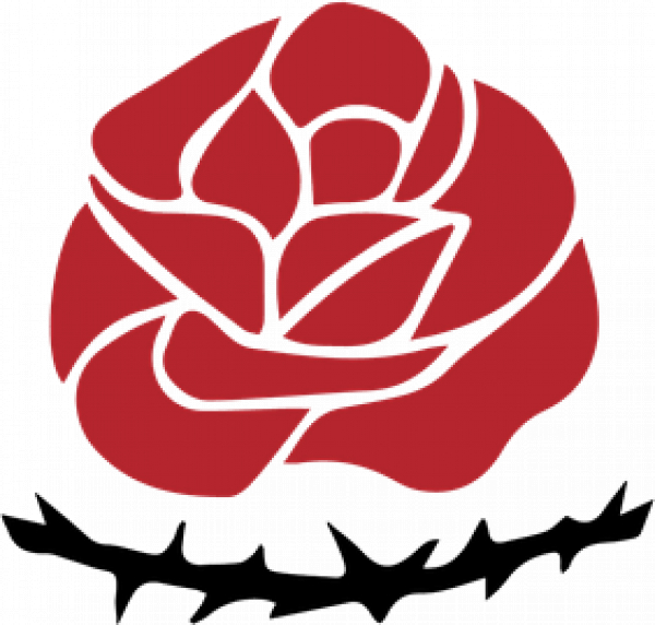 Statement of The Tudeh Party of Iran on the latest developments in Afghanistan