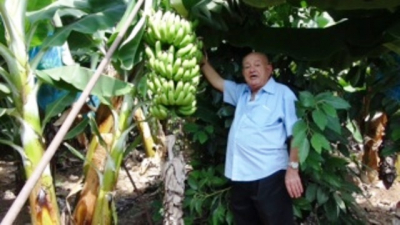 تجمع مزارعي الجنوب: لاعتماد سعر صرف للدولار بألفي ليرة للعقود الموقعة بالدولار...