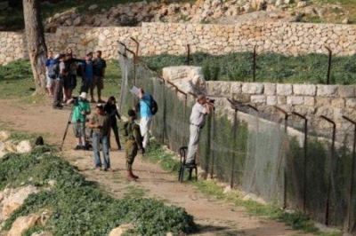 مستوطنون ينصبون أسلاكًا شائكة ويجرفون أراضي جنوب الخليل