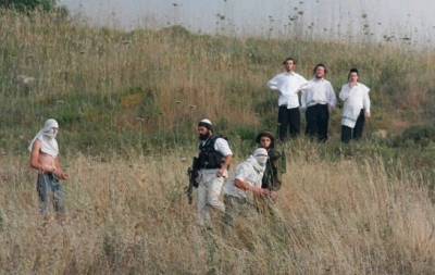 مستوطنون يقطعون نحو 400 شجرة في ترمسعيا